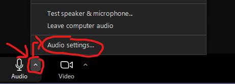 Zoom Audio Settings